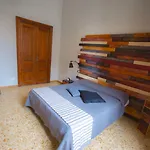 La Lepre Felice-bovio